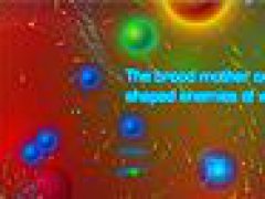 Ether War