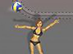 Ragdoll Volleyball