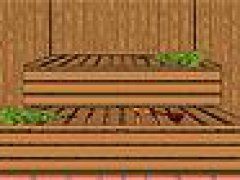 Sauna Escape