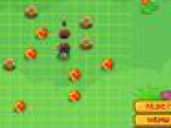 Beetle Run