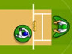 Table Top Cricket