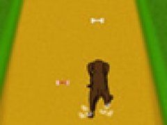 Dog Dash