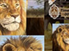 Puzzle Safari