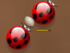 Spiderbugs