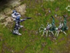 Excited Insects