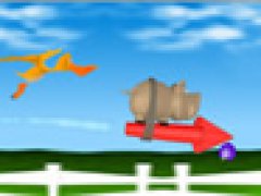 Pig on Rocket