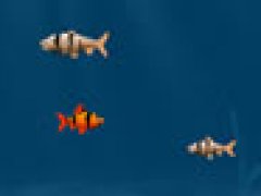 Franky Fish 2