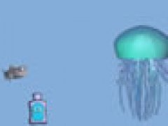 Jellyfish Jive
