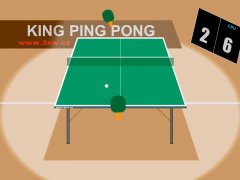 Ping Pong 3D