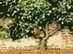 Hidden Tangerines