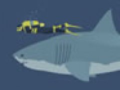 Mad Shark