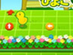 Chick Adventure