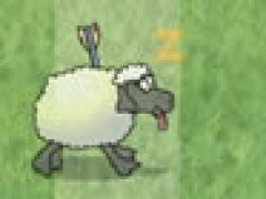 Sheep Reactions