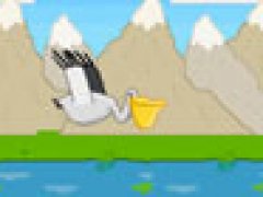Pelican Lost