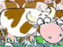 Mad Cows