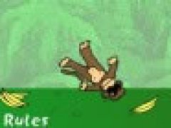 Monkey Keepy Ups