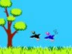 Duck Hunt