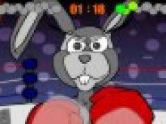 Bilby vs Bunny