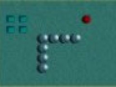 Snake Hunt