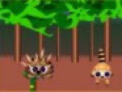 Super Raccoon
