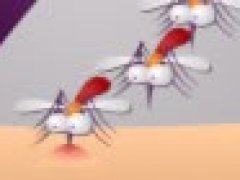 Mosquito