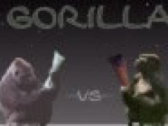 Gorilla