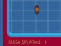 Bug Splate