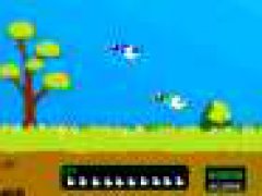 Duck Hunt