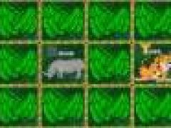 Alpha Zoo