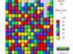 Square Assembler
