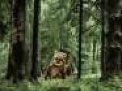 Ewoks Annihilation