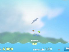 Dolphin Olympics 2