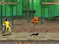 Dragon Fist 3D