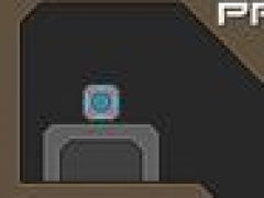 Probe