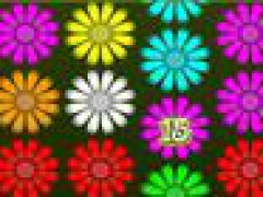Flower Action Puzzle