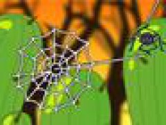 Spider Web