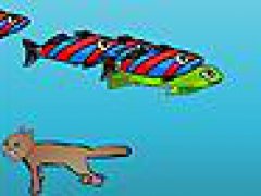 Fish Catcher