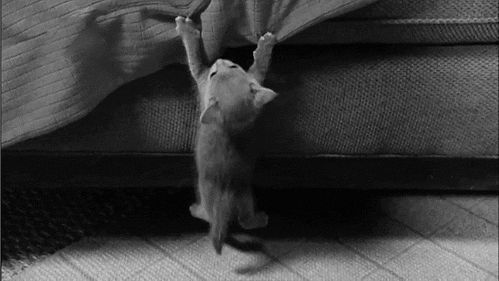 Somebody, help!