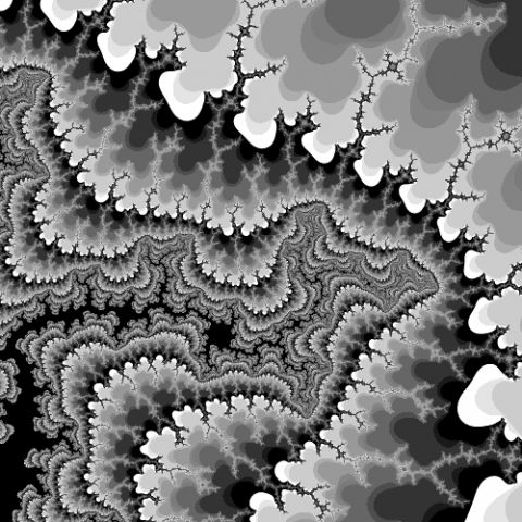 Fractal in motion