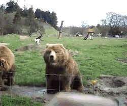 Hello from Russia!