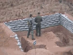 Fail of the year
