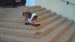 I’m human and can’t even do this