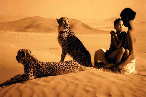 The serenity of the sands