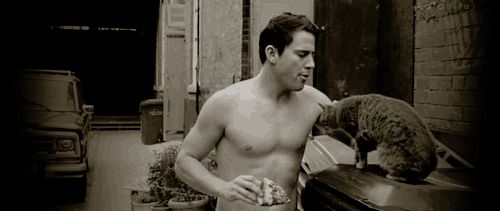 Pizza, hot men and cat