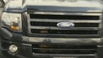 Owl gets stuck in car grill