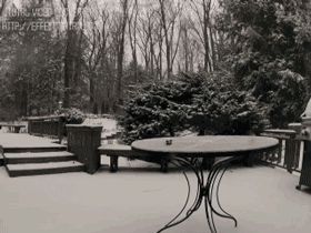 24 hours with snow