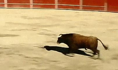 Jumping over the bull