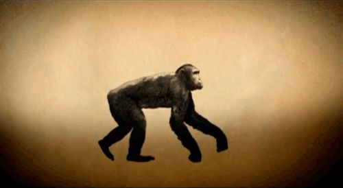 Evolution and dissolution