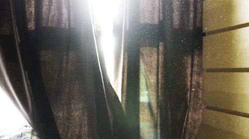 Dust swimming in the afternoon sun