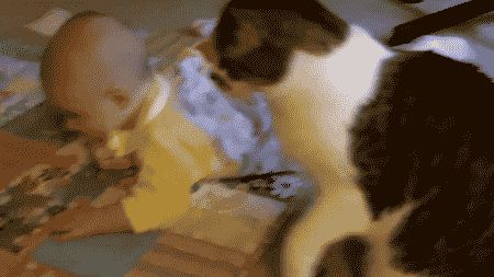 Babysitting Cat